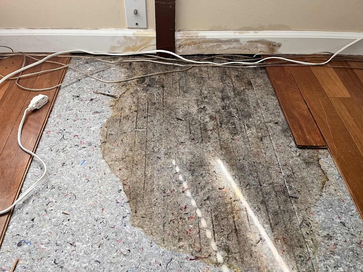 Water-damaged hardwood floor with planks pulled and subfloor exposed, before repair